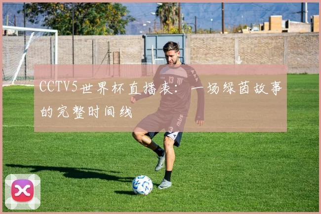 CCTV5世界杯直播表:一场绿茵故事的完整时间线