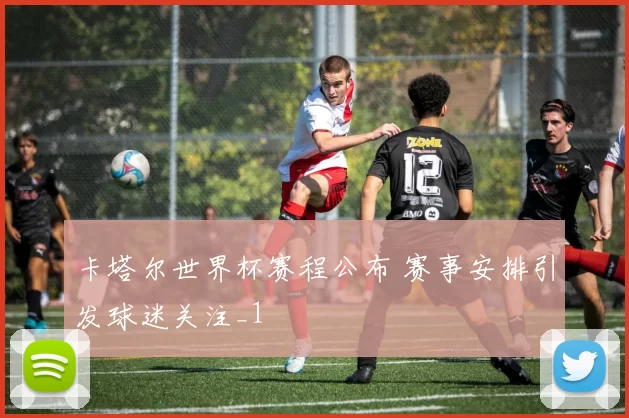 卡塔尔世界杯赛程公布 赛事安排引发球迷关注_1