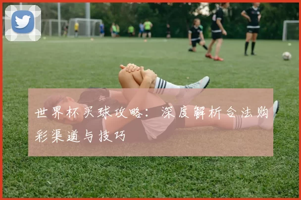 世界杯买球攻略：深度解析合法购彩渠道与技巧