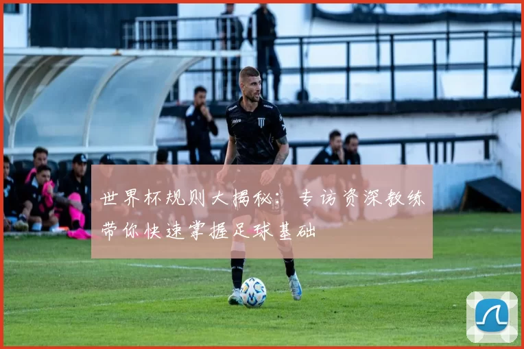 世界杯规则大揭秘：专访资深教练带你快速掌握足球基础