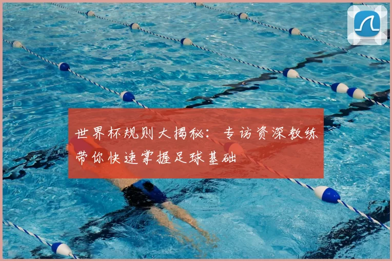 世界杯规则大揭秘:专访资深教练带你快速掌握足球基础