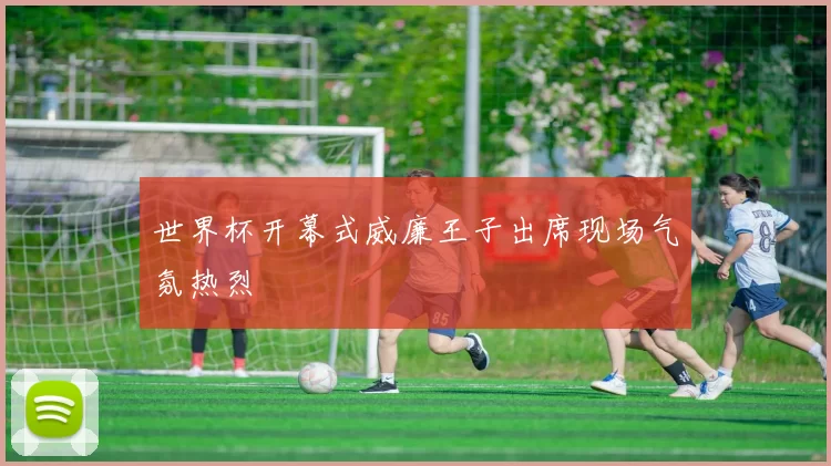 世界杯开幕式威廉王子出席现场气氛热烈