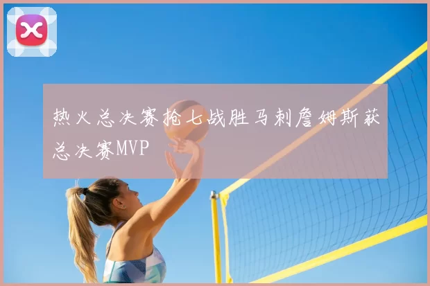 热火总决赛抢七战胜马刺詹姆斯获总决赛MVP