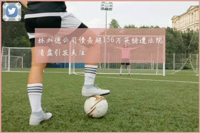 林加德公司债务超156万英镑遭法院清盘引发关注