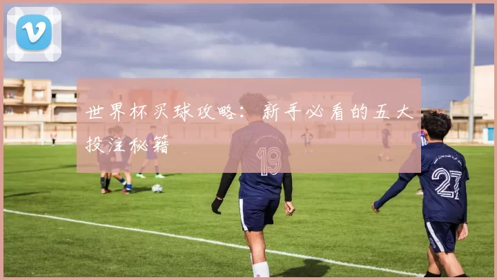 世界杯买球攻略：新手必看的五大投注秘籍