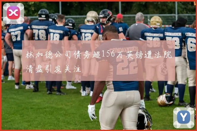 林加德公司债务超156万英镑遭法院清盘引发关注