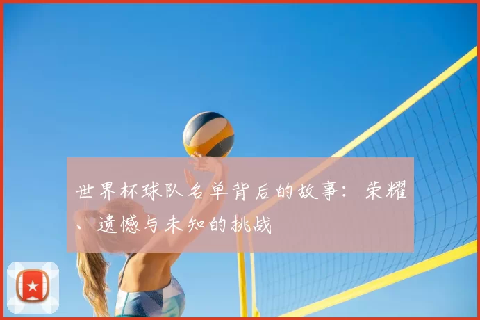 世界杯球队名单背后的故事：荣耀、遗憾与未知的挑战