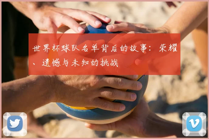 世界杯球队名单背后的故事:荣耀、遗憾与未知的挑战