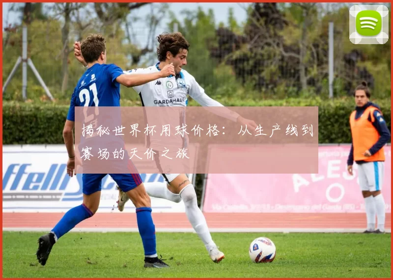 揭秘世界杯用球价格:从生产线到赛场的天价之旅