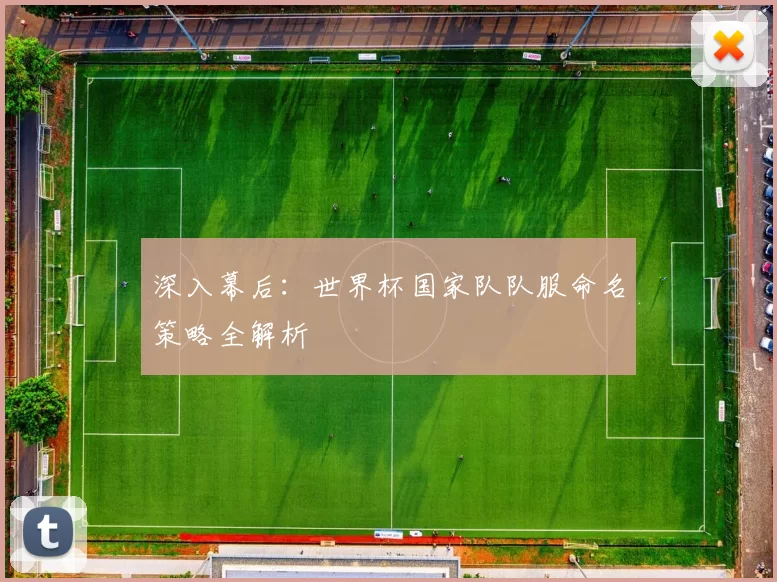 深入幕后：世界杯国家队队服命名策略全解析